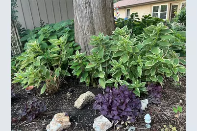 2626 Shoreline Drive, Sherman, TX 75092 - Photo 17