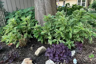 2626 Shoreline Dr, Sherman, TX 75092 - Photo 17