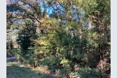 Tbd Lot 56 Dogwood Drive, Trinidad, TX 75163 - Photo 1