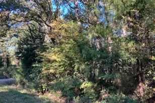 Tbd Lot 56 Dogwood Dr, Trinidad, TX 75163 - Photo 1