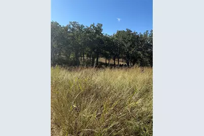 416 Sunset Bay Pointe Court, Chico, TX 76431 - Photo 3