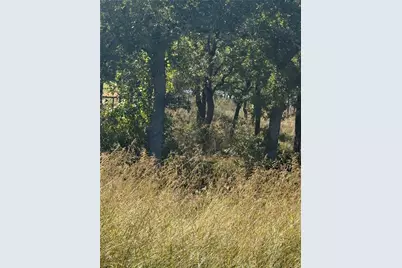 416 Sunset Bay Pointe Court, Chico, TX 76431 - Photo 1