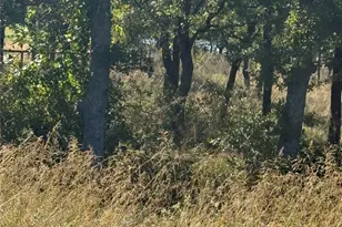 416 Sunset Bay Pointe Ct, Chico, TX 76431 - Photo 1