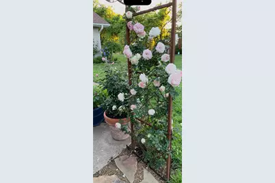 5608 Winifred Drive, Fort Worth, TX 76133 - Photo 27