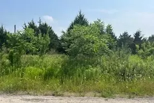 21982 Co Rd 4072, Kemp, TX 75143 - Photo 1