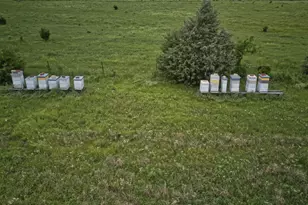 420 Co Rd 2904, Dodd City, TX 75438 - Photo 33