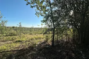 1120 Tamarisk Dr, Mexia, TX 76667 - Photo 31