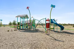 16521 Boston Ivy Dr, Justin, TX 76247 - Photo 31