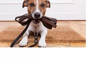 5200 Keller Springs Rd, Dallas, TX 75248 - Photo 31