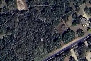 1531 White Bluff Dr, Whitney, TX 76692 - Photo 1