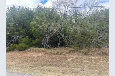 1533 White Bluff Drive, Whitney, TX 76692 - Photo 3