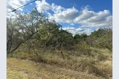 1607 White Bluff Drive, Whitney, TX 76692 - Photo 3