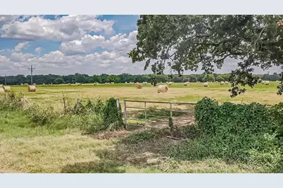 20 Acres Gathings Avenue, Covington, TX 76636 - Photo 9