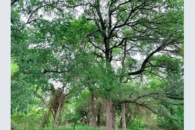 20 Acres Gathings Avenue, Covington, TX 76636 - Photo 17