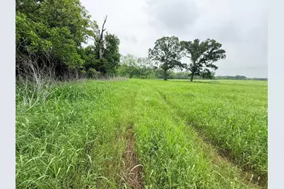 20 Acres Gathings Avenue, Covington, TX 76636 - Photo 11