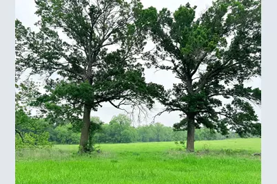 20 Acres Gathings Avenue, Covington, TX 76636 - Photo 13