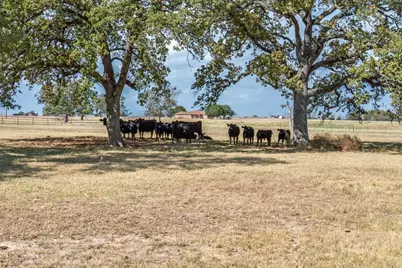 800 Vz County Road 2807, Mabank, TX 75147 - Photo 9