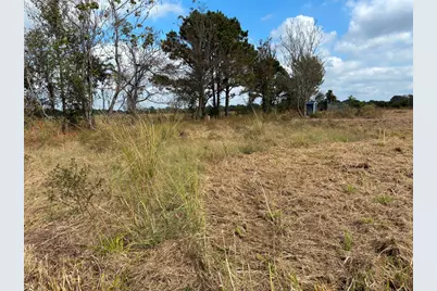 2443 Fm 1653, Ben Wheeler, TX 75754 - Photo 3