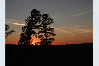 10222 US Highway 271 N, Gilmer, TX 75644 - Photo 1