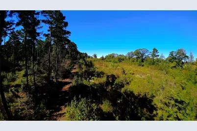 10222 US Highway 271 N, Gilmer, TX 75644 - Photo 5
