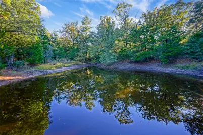 45 Acres County Road 930, Teague, TX 75860 - Photo 17