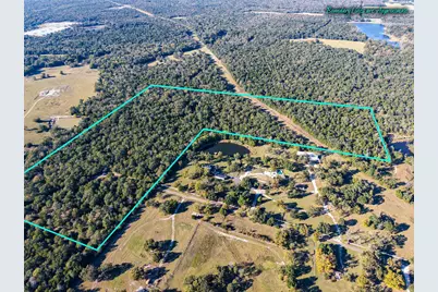 45 Acres County Road 930, Teague, TX 75860 - Photo 15