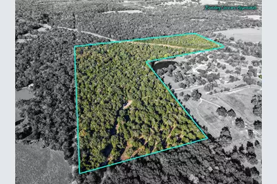 45 Acres County Road 930, Teague, TX 75860 - Photo 3