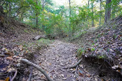 45 Acres County Road 930, Teague, TX 75860 - Photo 25