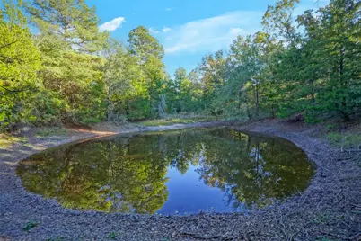 45 Acres County Road 930, Teague, TX 75860 - Photo 29