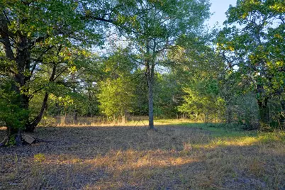 45 Acres County Road 930, Teague, TX 75860 - Photo 7