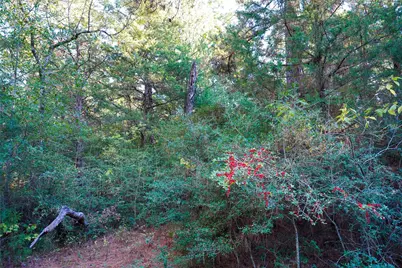 45 Acres County Road 930, Teague, TX 75860 - Photo 21