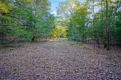 45 Acres County Road 930, Teague, TX 75860 - Photo 13