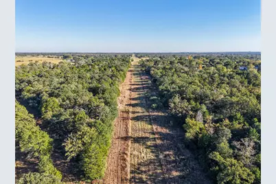 45 Acres County Road 930, Teague, TX 75860 - Photo 23
