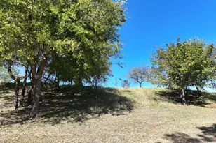 14923 Mitchell Bend Ct, Granbury, TX 76048 - Photo 27