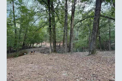 12670 County Road 168, Flint, TX 75762 - Photo 5