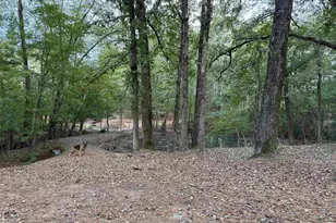 12670 County Rd 168, Flint, TX 75762 - Photo 5