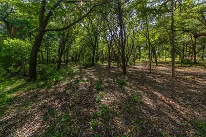 1053 Creek Crossing Road, Nemo, TX 76070 - Photo 5