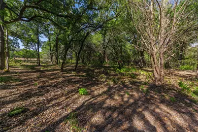 1053 Creek Crossing Road, Nemo, TX 76070 - Photo 7