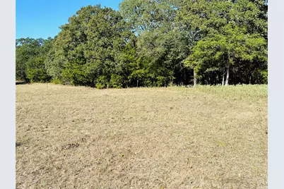 1683 County Road 3563 #(10.319 ac.), Dike, TX 75437 - Photo 9