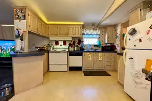 251 Tumbleweed Ct, Millsap, TX 76066 - Photo 15