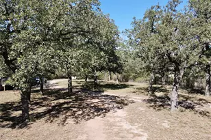 251 Tumbleweed Ct, Millsap, TX 76066 - Photo 25