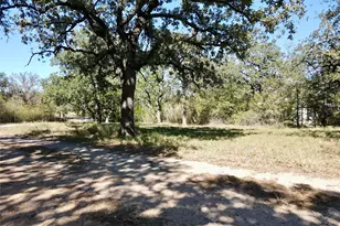 251 Tumbleweed Ct, Millsap, TX 76066 - Photo 27