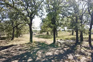 251 Tumbleweed Ct, Millsap, TX 76066 - Photo 7