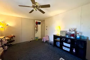 251 Tumbleweed Ct, Millsap, TX 76066 - Photo 23