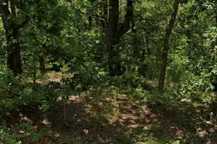 5343 Sam Bass, Log Cabin, TX 75074 - Photo 1