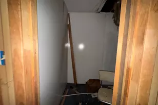 773 County Rd 3502, Cuney, TX 75759 - Photo 21