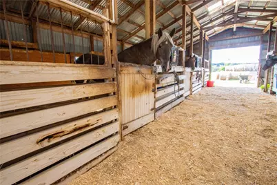 11995 Hilltop Road, Argyle, TX 76226 - Photo 15