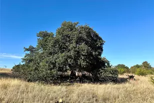 171 Co Rd 306, Goldthwaite, TX 76844 - Photo 13