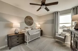 428 Avian Wy, Godley, TX 76044 - Photo 13