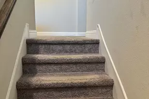 2732 Spg Crk Trl, Celina, TX 75078 - Photo 13